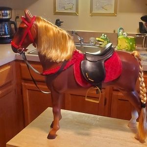 "Our Generation's" Pershian Show Horse